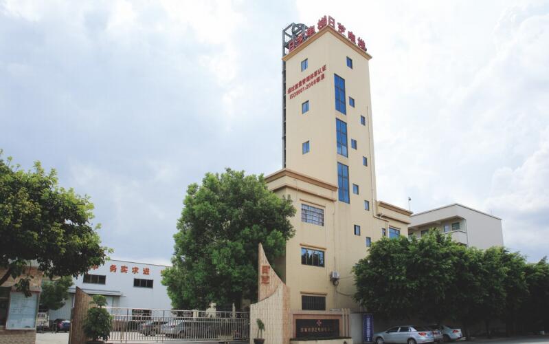 Dongguan Rizhi Elevator Project